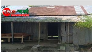 মধুপুরের পালবাড়ীতে আরিফের বিরুদ্ধে জমি দখলসহ নানা অভিযোগ, তদন্তের দাবি