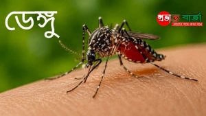 চাঁপাইনবাবগঞ্জে ২৪ ঘণ্টায় ডেঙ্গু আক্রান্ত আরও ৪৩, মোট রোগী ১,৮৯৮