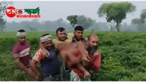কুষ্টিয়া সীমান্তে বিএসএফের গুলি, বিজিবির পাল্টা ফায়ার; আহত ২, ভারতীয় নাগরিক আটক
